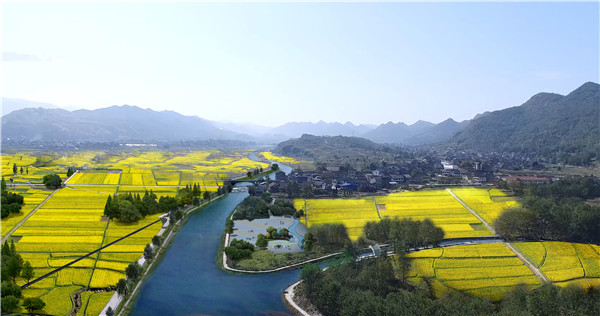 平江河干流龙凤花海段水文化广场鸟瞰效果图.jpg